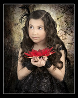 8x10-v-9