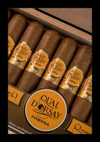 Q DORSAY 04