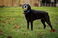 _MG_0882-Edit